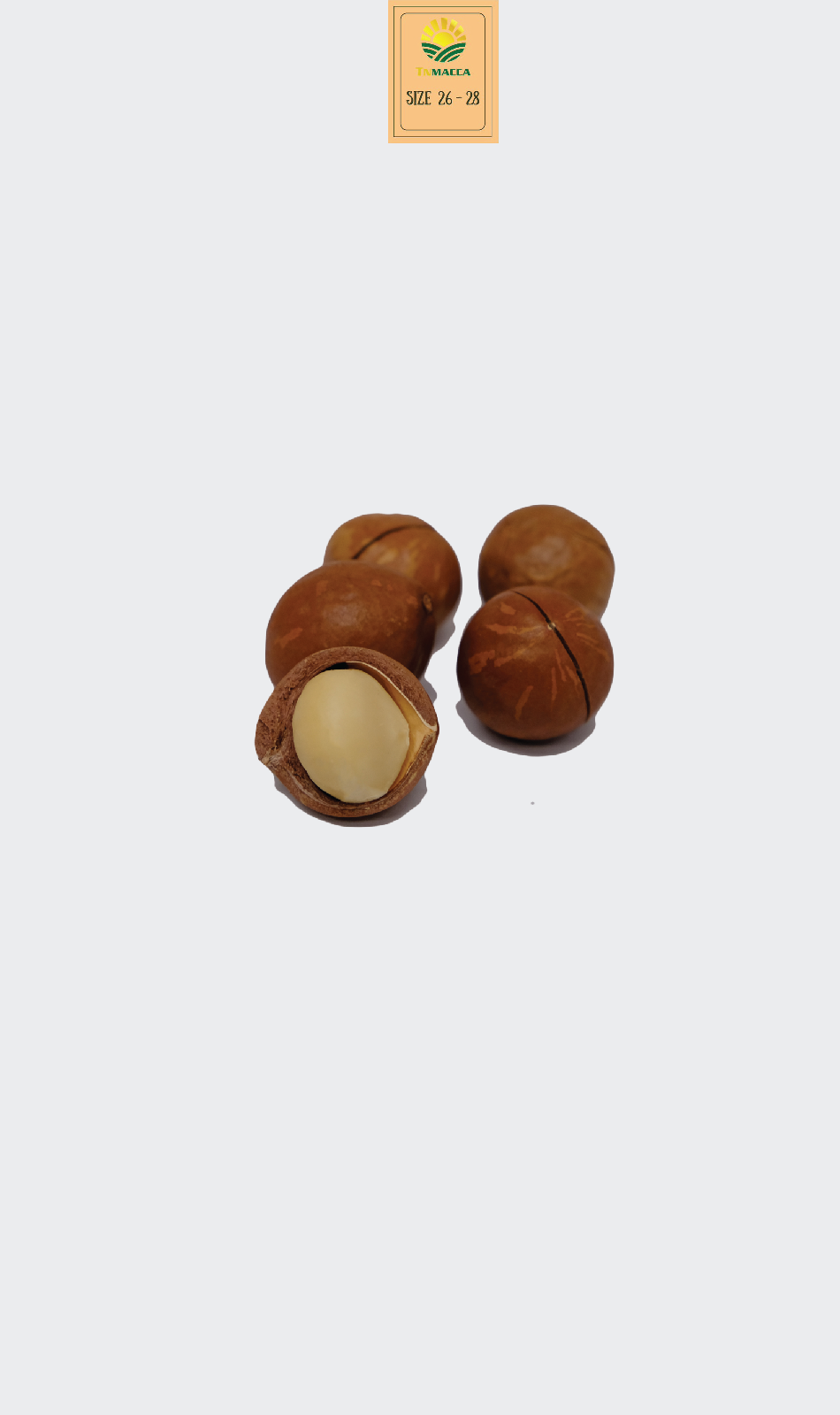 Hạt macca sấy nứt 25-28