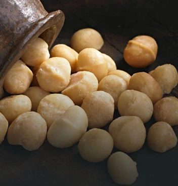 Mắc ca cao cấp Tnmacca
